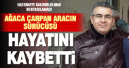 Ağaca çarpan otomobil sürücüsü hayatını kaybetti