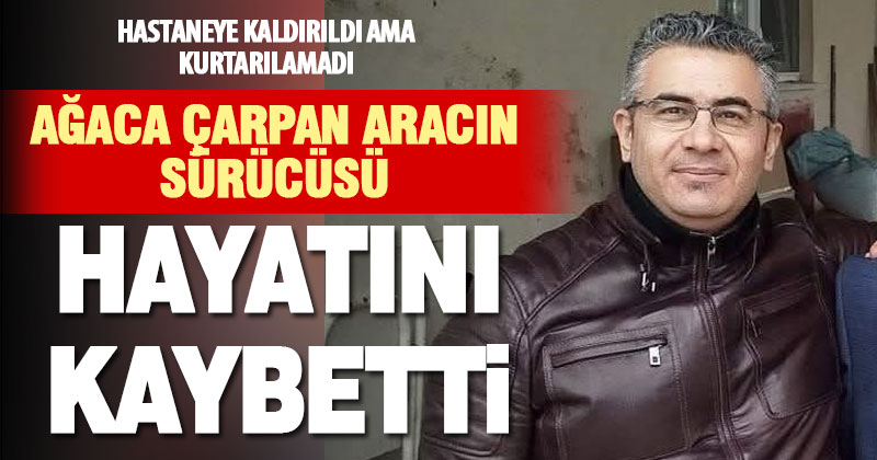 Ağaca çarpan otomobil sürücüsü hayatını kaybetti