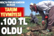 Beyağaç’ta tarım işçisinin yevmiyesi 1.100 TL oldu