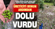 Üreticiyi donun ardından dolu vurdu