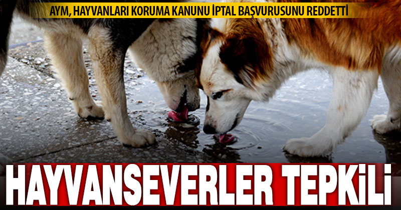 AYM, Hayvanları Koruma Kanunu iptal başvurusunu reddetti
