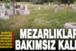 Yetki devri nedeniyle mezarlıklar baharda bakımsız kaldı