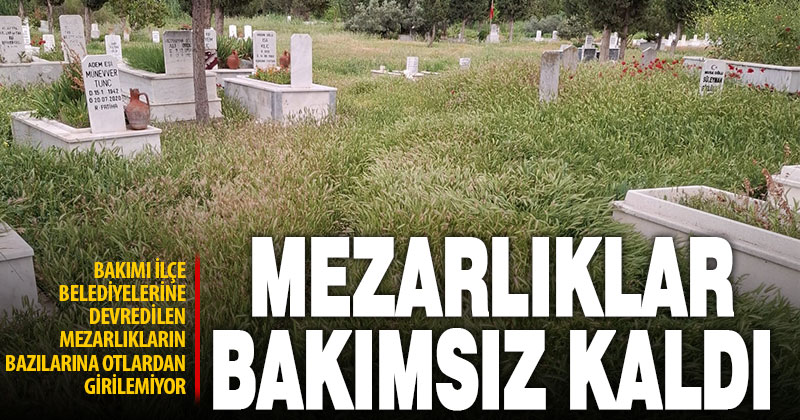 Yetki devri nedeniyle mezarlıklar baharda bakımsız kaldı