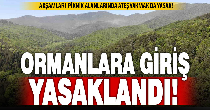 Denizli’de 1 Haziran- 31 Ekim tarihleri arasında ormanlara giriş yasaklandı