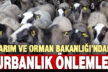 Kurban Bayramı öncesi hastalık ve kesim tedbirleri sıkılaştı