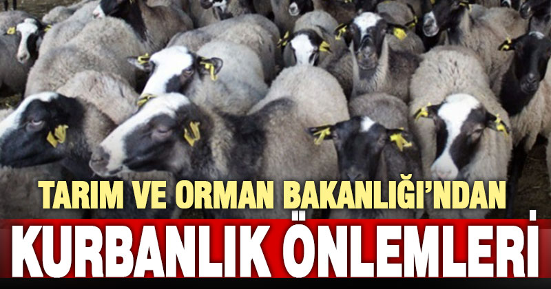 Kurban Bayramı öncesi hastalık ve kesim tedbirleri sıkılaştı