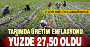 Tarım-ÜFE yıllık yüzde 27,50 arttı