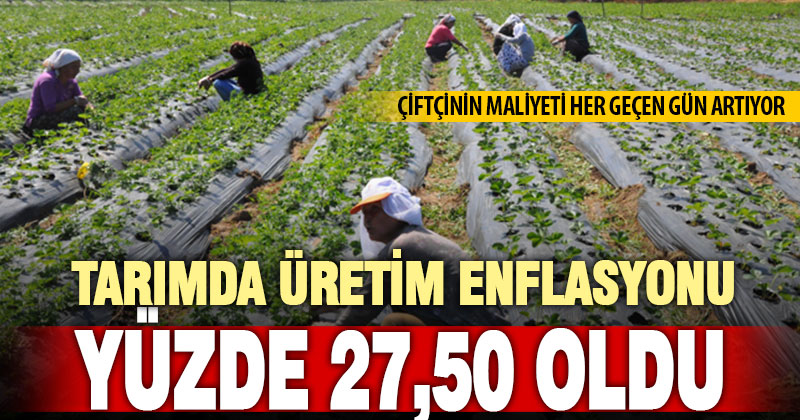 Tarım-ÜFE yıllık yüzde 27,50 arttı