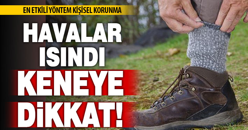Isınan hava ile birlikte kene uyarısı