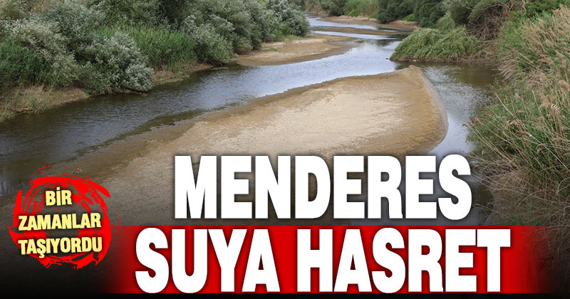 Bir zamanlar taşan Menderes şimdi suya hasret