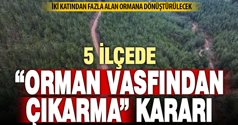 Denizli’de 5 ilçedeki bazı alanlar orman vasfından çıkarıldı