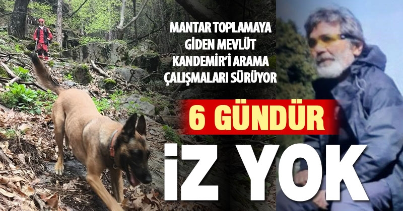 Mantar toplamaya gidip kaybolan dağcıyı arama çalışmaları 6 gündür devam ediyor