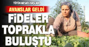 Avanslarını almaya başlayan tütün üreticileri fidelerini toprakla buluşturdu