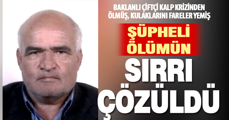 Kalp krizi geçiren yaşlı çiftçinin kulağı ve yüzünü farelerin yediği belirlendi