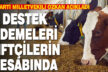 Destek ödemeleri çiftçilerin hesabında