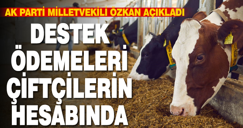 Destek ödemeleri çiftçilerin hesabında