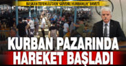 Denizli Ticaret Borsası Canlı Hayvan pazarında kurban hareketliliği başladı