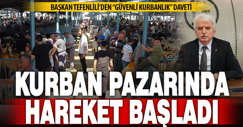 Denizli Ticaret Borsası Canlı Hayvan pazarında kurban hareketliliği başladı