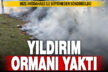 Yıldırım düşmesi sonucu çıkan orman yangını büyümeden söndürüldü