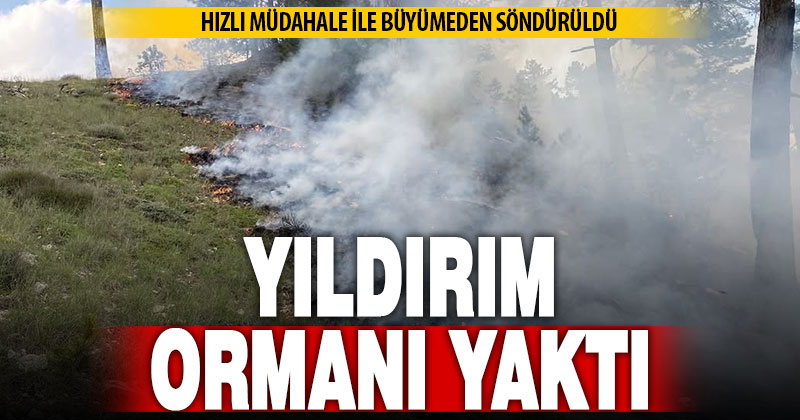 Yıldırım düşmesi sonucu çıkan orman yangını büyümeden söndürüldü
