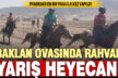 Rahvan atlar Baklan Ovası’nda tozu dumana kattı