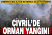 Çivril’deki orman yangınında 2 hektar alan zarar gördü