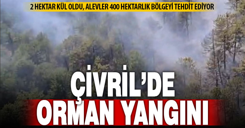 Çivril’deki orman yangınında 2 hektar alan zarar gördü