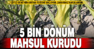 Arıtma tesisinden gelen suyla sulama yapan çiftçilerin ürünleri kurudu