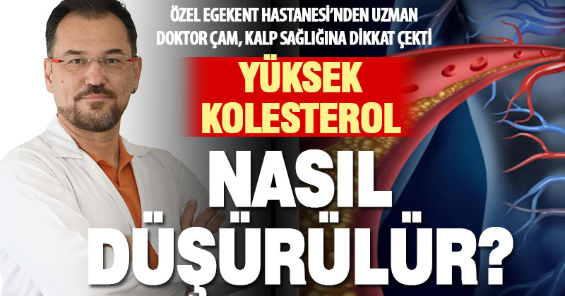 Yüksek Kolesterol nasıl düşürülür?