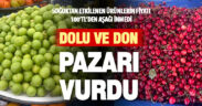 Bahar aylarında yaşanılan soğuklardan etkilenen meyveler etiketlere yansıdı