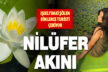 Çivril Işıklı’daki nilüferlerin görsel şöleni yerli ve yabancı turistlerin ilgi odağı oldu