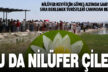 Nilüfer keyfi çile oldu: Turistler sıra ve düzensizlikten şikayetçi