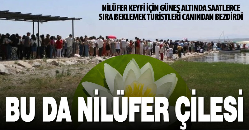 Nilüfer keyfi çile oldu: Turistler sıra ve düzensizlikten şikayetçi