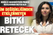 Denizlili akademisyenden iklim değişikliğinden etkilenmeyen bitki projesi