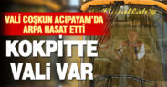 Vali Ömer Faruk Coşkun, Acıpayam’da arpa hasadına katıldı