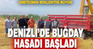 Denizli’de buğday hasadı başladı