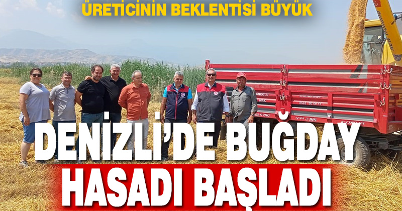 Denizli’de buğday hasadı başladı
