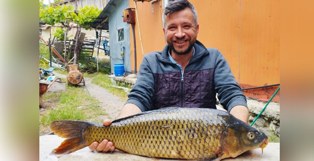Tarlada 7 kiloluk sazan yakaladı