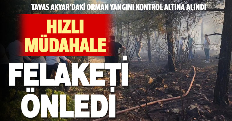 Tavas’taki orman yangını kontrol altına alındı