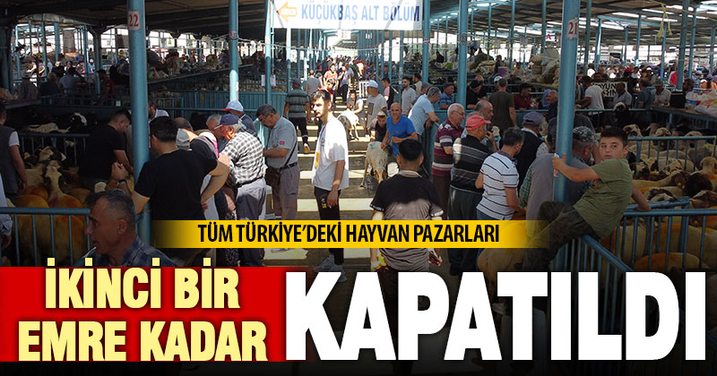 Ülke genelinde tüm hayvan pazarları kapatıldı