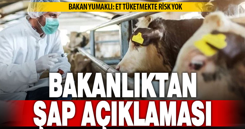 Tarım ve Orman Bakanlığı’ndan şap açıklaması