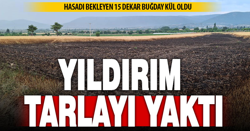 Ekili araziye düşen yıldırım 8 ton buğdayı kül etti