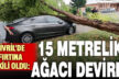 Çivril’de fırtına 15 metrelik ağacı devirdi
