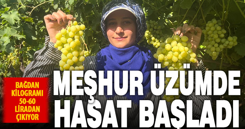 Buldan’ın meşhur üzümü Avrupa ve Arap ülkelerinden talep alıyor