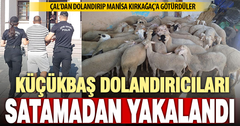 Çal’da bir üreticinin 25 koyununu dolandırıcılık yöntemiyle alan 2 kişi yakalandı