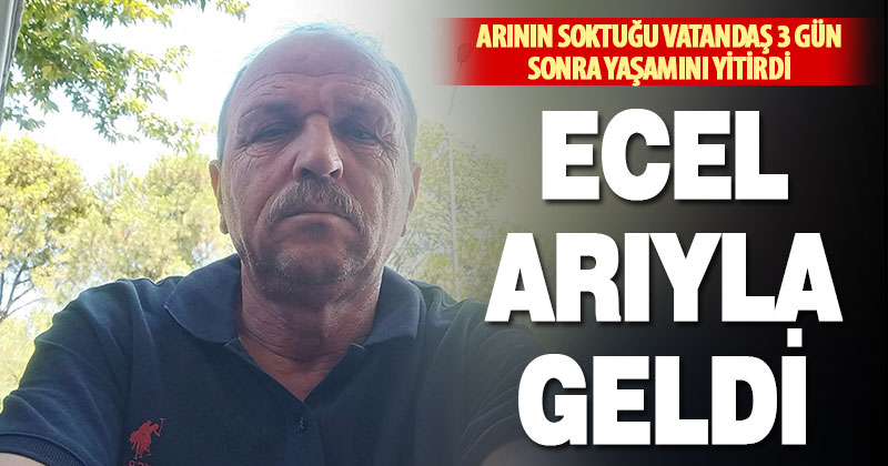 Arı sokması sonucu fenalaşan yaşlı adam, kaldırıldığı hastanede hayatını kaybetti