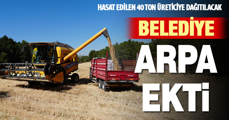 Pamukkale Belediyesi, üreticiye dağıtmak üzere 40 ton arpa üretti