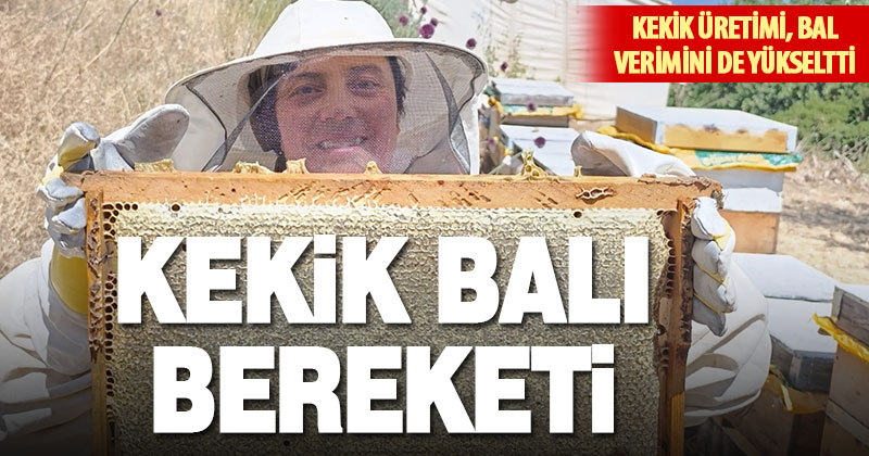 Kekik balı üretimi yüz güldürdü