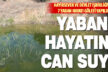 Buldan’da devlet hayırsever işbirliği ile yaban hayatı göletler yapılıyor