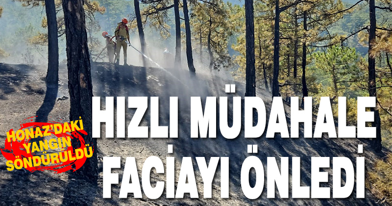 Denizli’deki orman yangınında 165 hektar alan kül olmaktan kurtarıldı